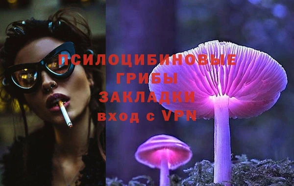 спайс Богородицк