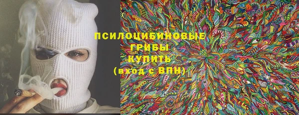 спайс Богородицк