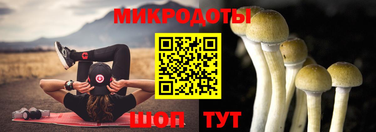 Галлюциногенные грибы Psilocybe  Вход с VPN  Галлюциногенные грибы Magic Shrooms  купить   Бутурлиновка 