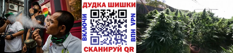 Бошки марихуана план  цены   Бутурлиновка 